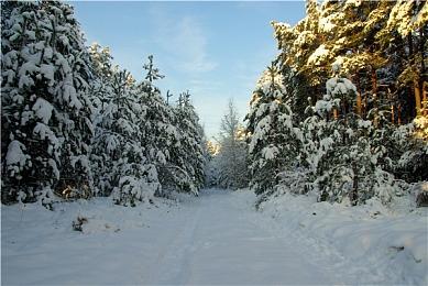 《冲就完事模拟器》公布《海绵宝宝》DLC发售日