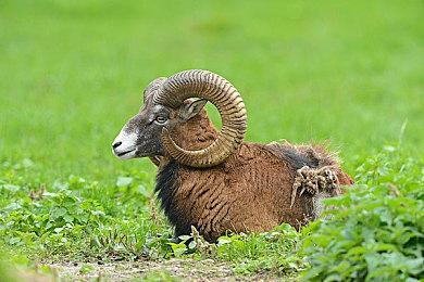 《装机模拟器2》现已开启预购 10月13日正式发售